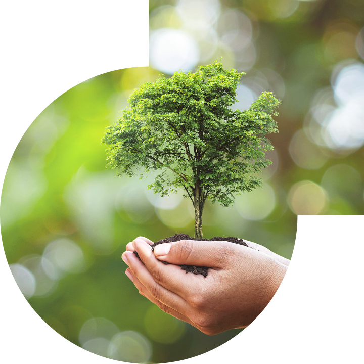 關懷人類、文化、環境與社會